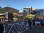 phoenix-10k-start